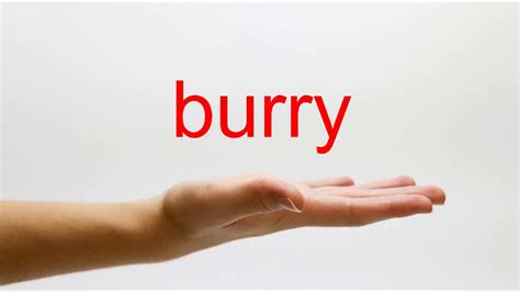 barry or burry|burry pronunciation.